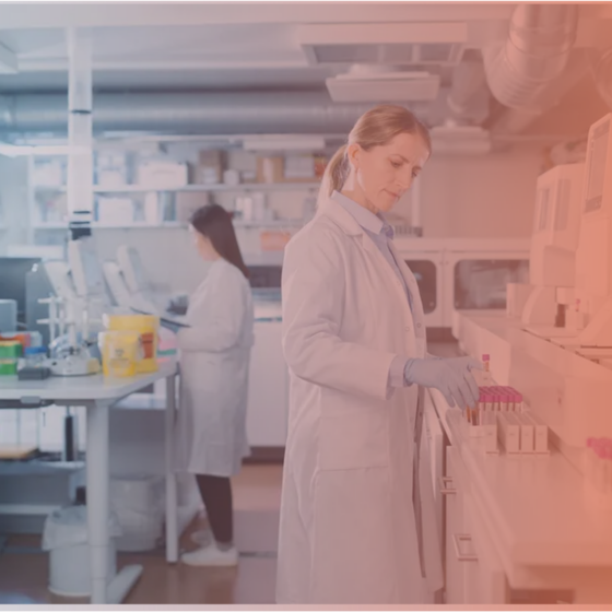 GMP Lab activities